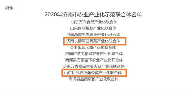 1605702116805815.jpeg 3.jpeg